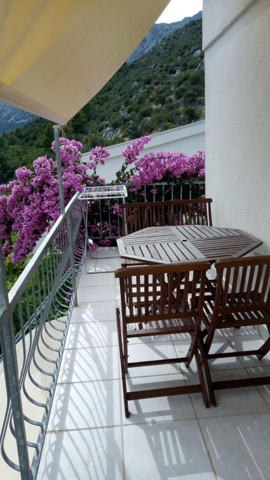 Apartments Villa Vida Orebic Ngoại thất bức ảnh